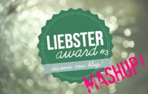 leibster-award-tag-postMASHUP