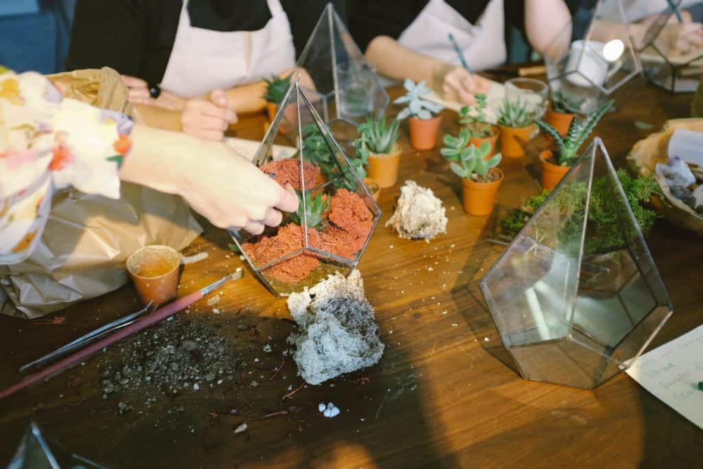A group of people planting succulents into glass terrariums.