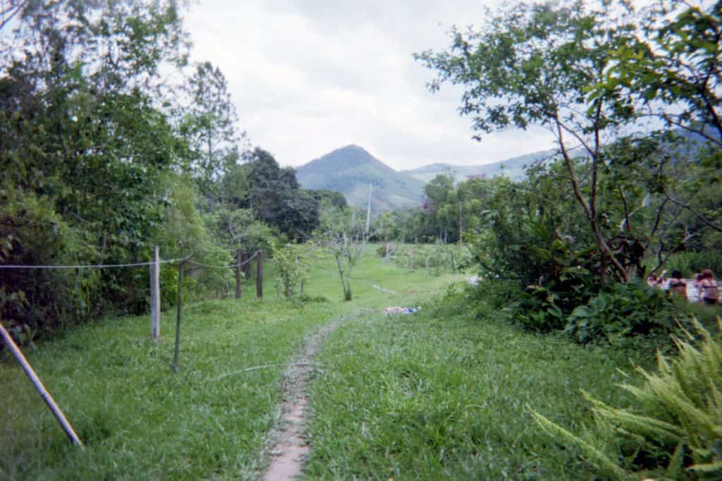 A pathway going through the Atlantic Rainforest in Brazil.