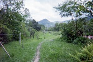 Green lush mountains beyond a pathway in the grass.